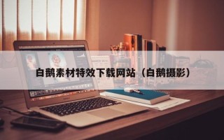 延边白鹅素材特效下载网站（白鹅摄影）